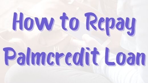 How to Repay Palmcredit Loan