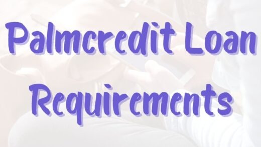 Palmcredit loan requirements