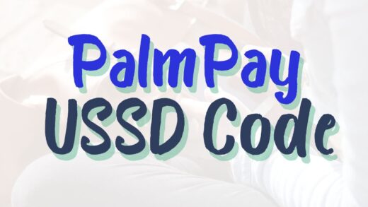 PalmPay USSD Code