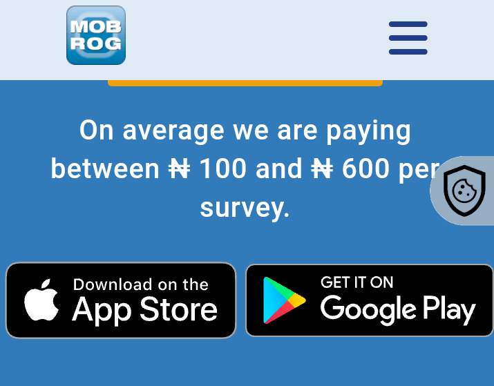 Paid online surveys in Nigeria