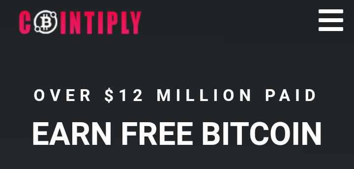 Surveys that pay in Nigeria