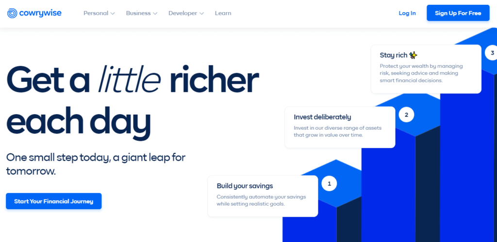 Cowrywise vs Piggyvest